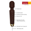 Lifelong Llm243 Wireless Body Massager