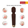 Lifelong Llm243 Wireless Body Massager