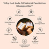 Goli Soda All Natural Probiotics Shampoo Bar For Normal Hair - 90 G