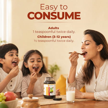Krishna's Chywanprash Preservative Free 500 G