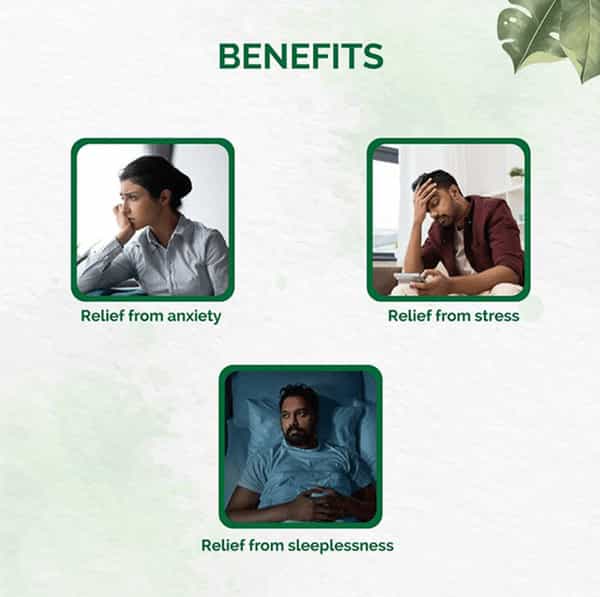 Dr. Vaidya's Unmadvati Pills 24