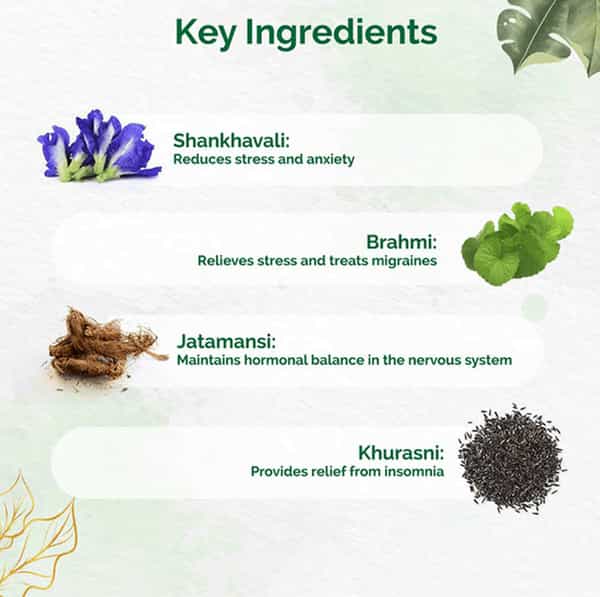 Dr. Vaidya's Unmadvati Pills 24