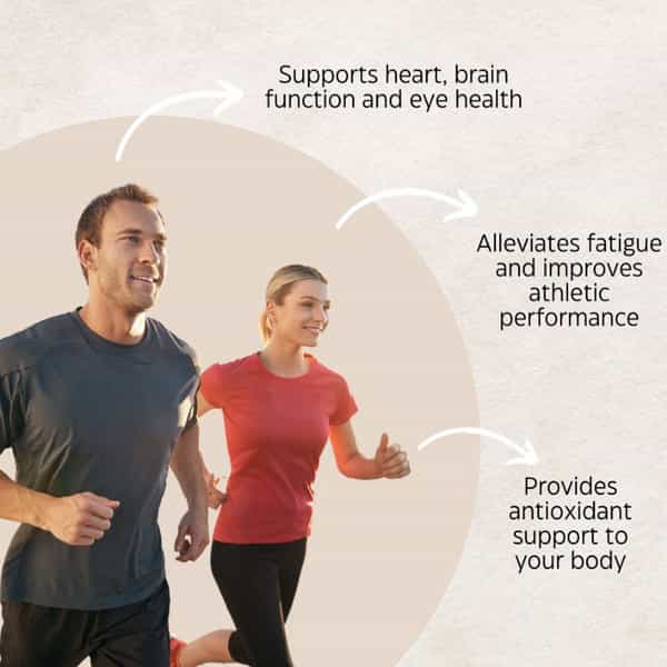Oxyminz-12G Multivitamin | Multimineral Capsules With 12 Natural Extracts (30 Capsules)