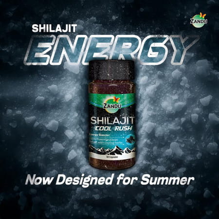 Zandu | Shilajit Cool Rush | 100% Pure Himalayan Shilajit With Cooling Herbs | 60 Capsules