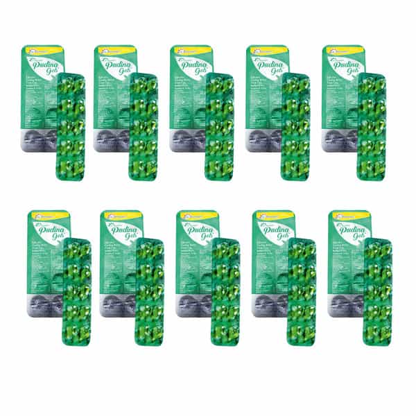 Dr. Morepen Pudina Gels For Acidity | Indigestion And Gas Relief - Pack Of 10 (100 Softgels)