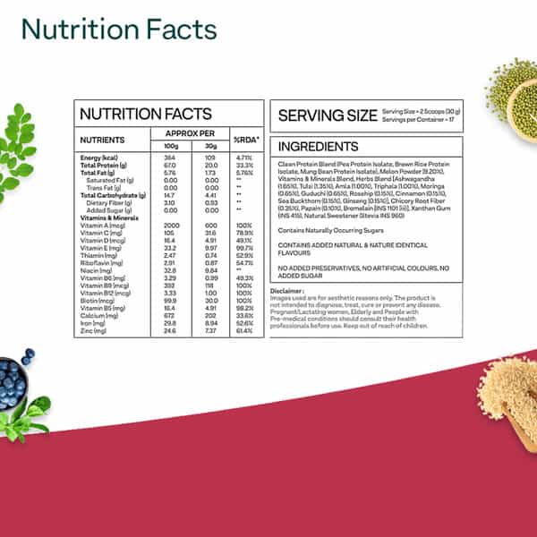 Oziva Superfood Plant Protein Coco Vanilla 500G | Better Energy & Digestion