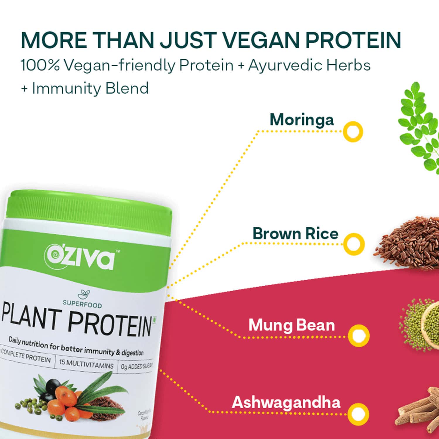 Buy OZIVA SUPERFOOD PLANT PROTEIN COCO VANILLA 500G BETTER ENERGY