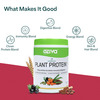 Oziva Superfood Plant Protein Coco Vanilla 500G | Better Energy & Digestion