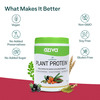Oziva Superfood Plant Protein Coco Vanilla 500G | Better Energy & Digestion