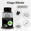 Earth King Ginkgo Biloba Capsule With Bramhi Extract - 500 Mg 60 Capsules (Pack Of 2)