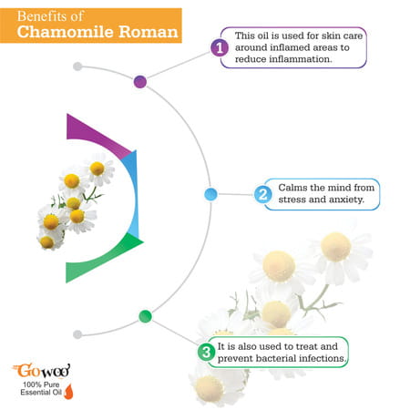 Pack Of 2 Chamomile Roman Essential Oil & Pomegranate Seed Carrier Oil - 100% Pure & Natural Oil