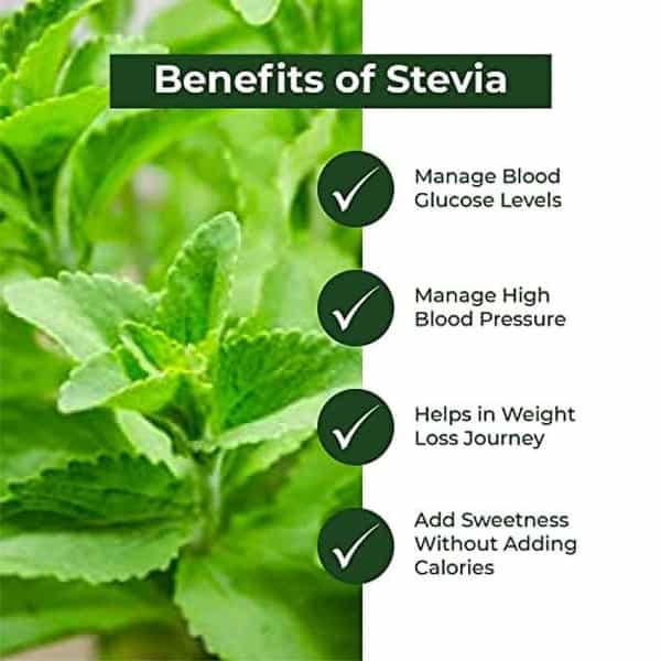 Sugar Fighter Stevia Liquid - Zero Calories - Natural Stevia - Sugar-Free Combo - 30 Ml (Pack Of 2)
