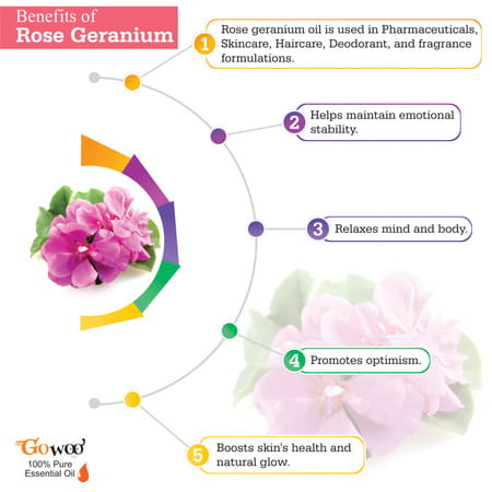 Pack Of 2 Rose Geranium Essential Oil & Calendula Carrier Oil - 100% Pure & Natural Oil