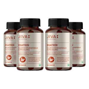 Jiva Diatrin Tablets 500mg| Controls Blood Sugar | Diabeties Care Tablet - 120 Tablets (pack Of 4)