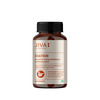 Jiva Diatrin Tablets 500mg| Controls Blood Sugar | Diabeties Care Tablet - 120 Tablets (Pack Of 4)