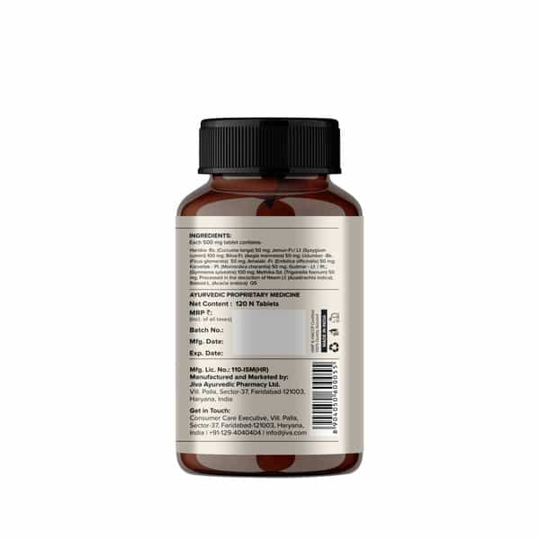 Jiva Diatrin Tablets 500Mg| Controls Blood Sugar | Diabeties Care Tablet - 120 Tablets (Pack Of 4)