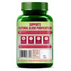 Himalayan Organics Plant Based Blood Detox | Bottle | 60 Veg Capsules