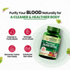 Himalayan Organics Plant Based Blood Detox | Bottle | 60 Veg Capsules