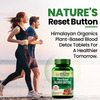 Himalayan Organics Plant Based Blood Detox | Bottle | 60 Veg Capsules