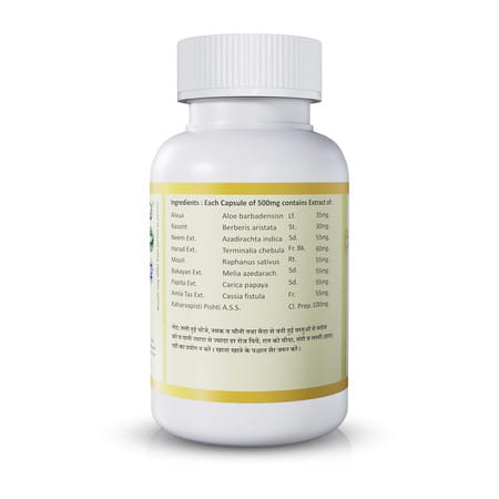 Jeena Sikho Pilfree | Herbal Supplement For Piles Care | 60 Capsules