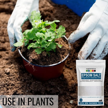 Organix Mantra Epsom Salt | Crystal & Bath | For Refreshing Bath Soak | Relieves Aches & Pain - 1 Kg