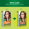 Nisha Creme Hair Color 4.3 Golden Brown 120Gm Pack Of 2 | Ammonia Free Permanent Hair Colour