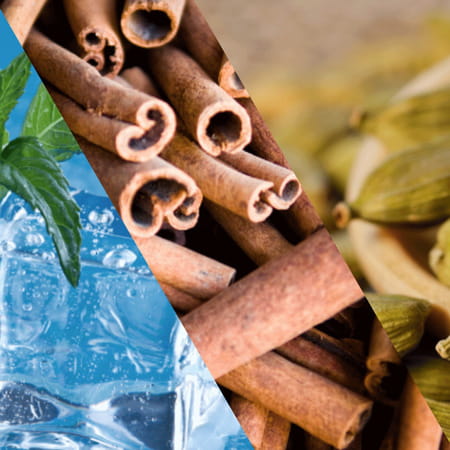 Staycool Breath Freshener Spray - Cool Mint Cinnamon Cardamom - Pack Of 3