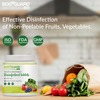 Bodyguard Vegetables Disinfectant Tablets Bottle Of 50
