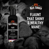 Man Arden Onion & Black Seed Hair Oil For Men For Dull Curry Leave Moringa Oil 100 Ml