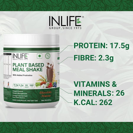 Inlife Plant Based Meal Replacement Shake | Plant Protein Powder (17.5 Protein) | 500g (Chocolate)