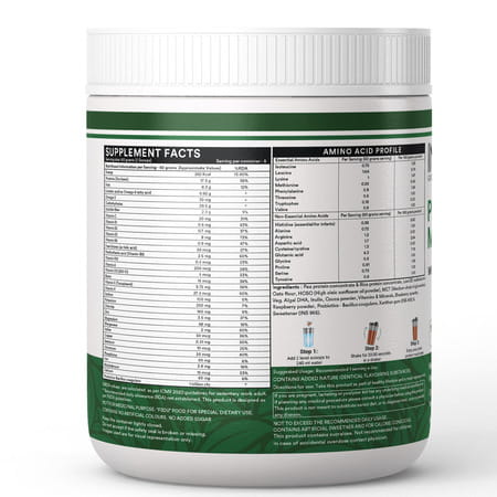 Inlife Plant Based Meal Replacement Shake | Plant Protein Powder (17.5 Protein) | 500g (Chocolate)