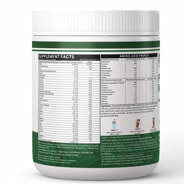 Inlife Plant Based Meal Replacement Shake | Plant Protein Powder (17.5 Protein) | 500G (Chocolate)