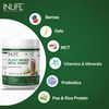 Inlife Plant Based Meal Replacement Shake | Plant Protein Powder (17.5 Protein) | 500G (Chocolate)