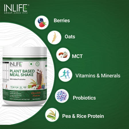 Inlife Plant Based Meal Replacement Shake | Plant Protein Powder (17.5 Protein) | 500g (Chocolate)