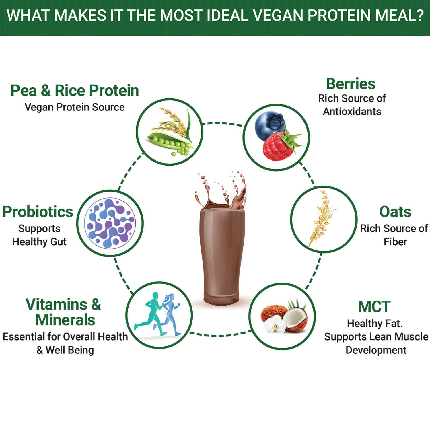Buy INLIFE VEGAN PLANT BASED PROTEIN POWDER MEAL REPLACEMENT SHAKE