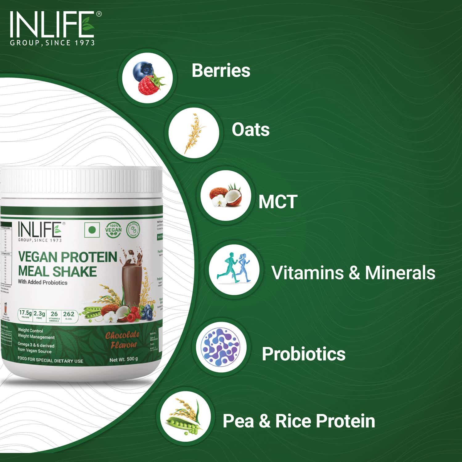 Buy INLIFE VEGAN PLANT BASED PROTEIN POWDER MEAL REPLACEMENT SHAKE