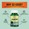 Morpheme Remedies Jamun 500 Mg - 60 Veg Capsules