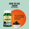 Morpheme Remedies Jamun 500 Mg - 60 Veg Capsules