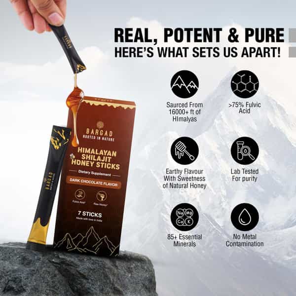 Bargad Himalayan Shilajit Honey Sticks: Dark Chocolate Flavor - 7N