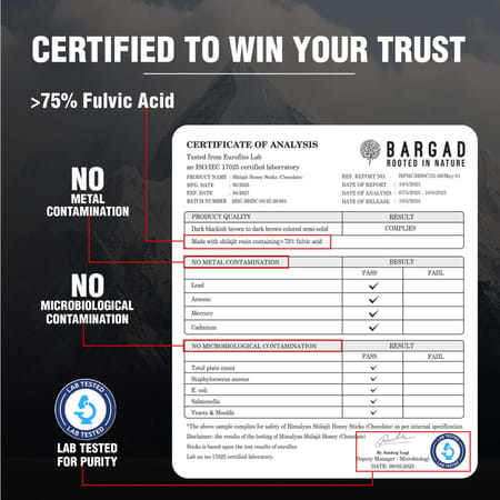 Bargad Himalayan Shilajit Honey Sticks: Dark Chocolate Flavor - 7n