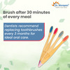Dr. Morepen Organic Bamboo Toothbrush Family Pack - 2 Kids & 2 Adults - 4'S
