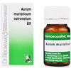 Dr. Reckeweg Aurum Muriaticum Natronatum 6X Tablets (20 G) Pack Of 2