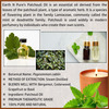 Earth N Pure Patchouli Essential Oil 15 (15 Ml)