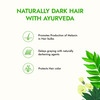 Kapiva Curry Leaf Grey Control Hair Oil 200 Ml
