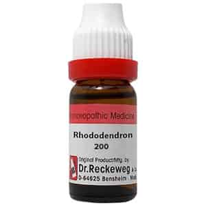 Dr. Reckeweg Rhododendron Dilution 200 Ch 11 Ml
