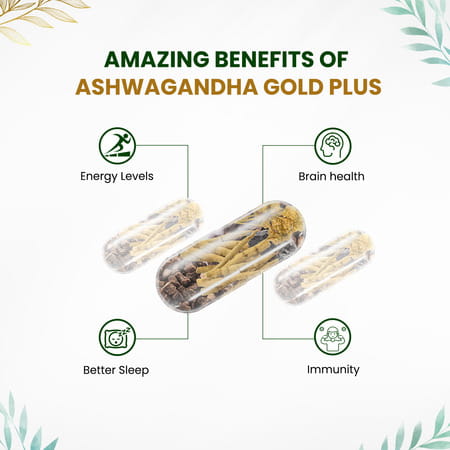 Vlado'S Himalayan Organics Ashwagandha Gold - 60 Veg Capsules