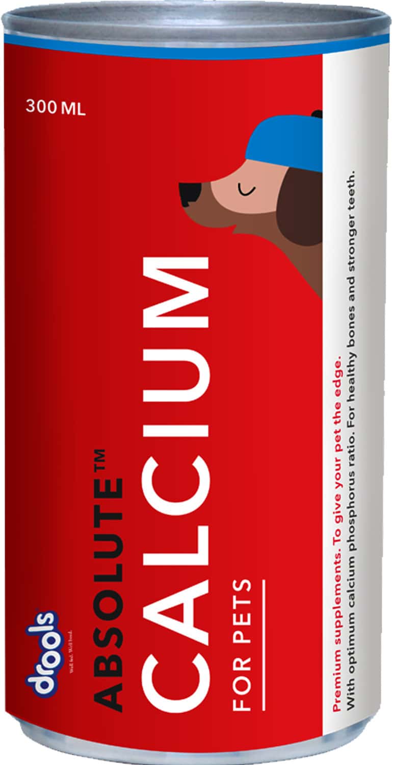 Drools Absolute Calcium Syrup - Dog Supplement 300ml