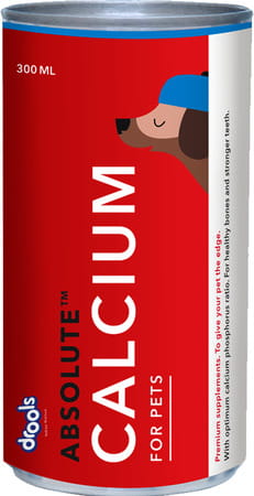 Drools Absolute Calcium Syrup - Dog Supplement 300ml