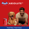 Drools Absolute Calcium Syrup - Dog Supplement 300ml