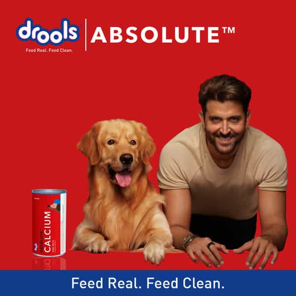 Drools Absolute Calcium Syrup - Dog Supplement 300Ml